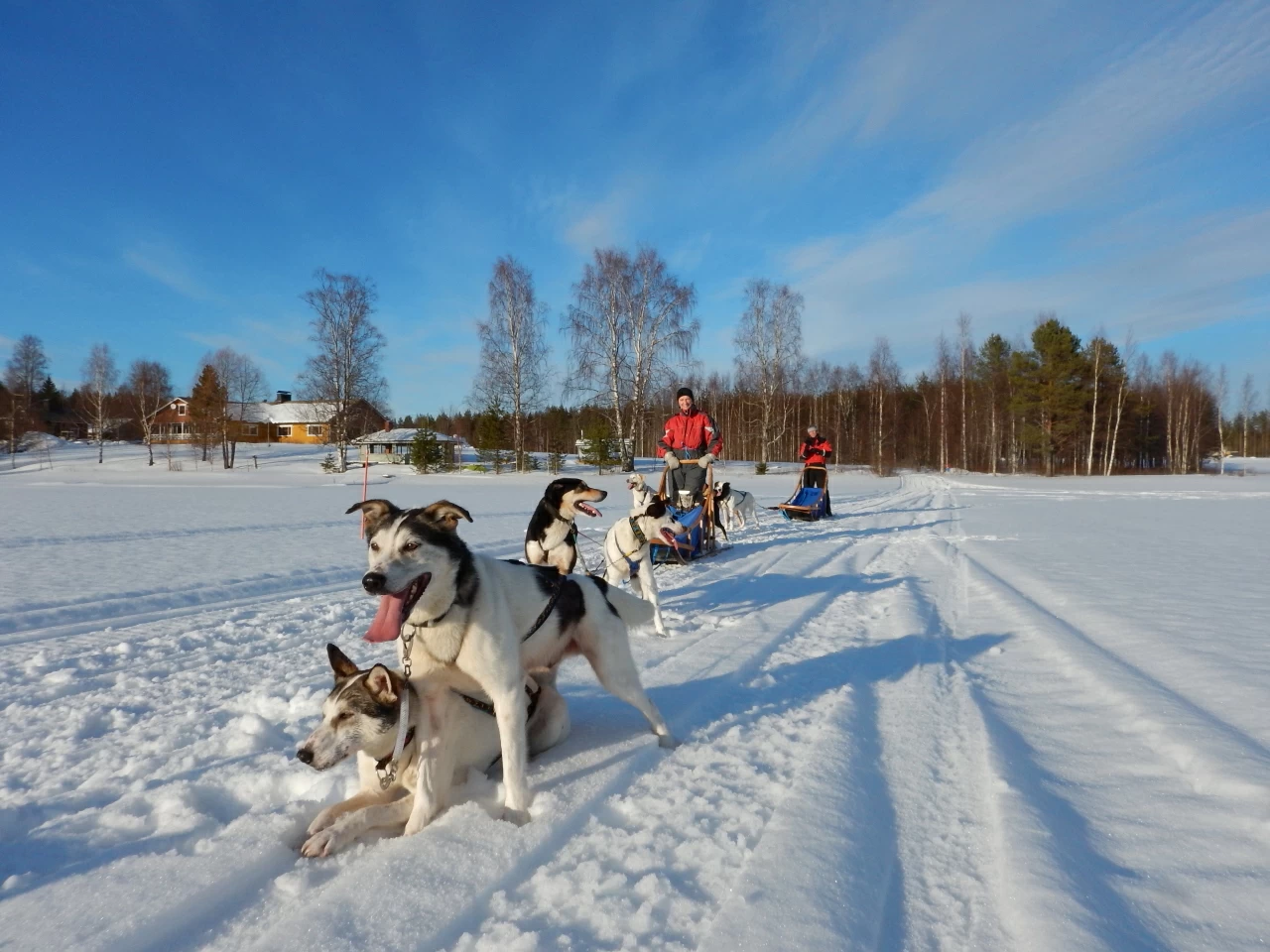 Hundeschlittentouren Karelien Eräkeskus Lodge