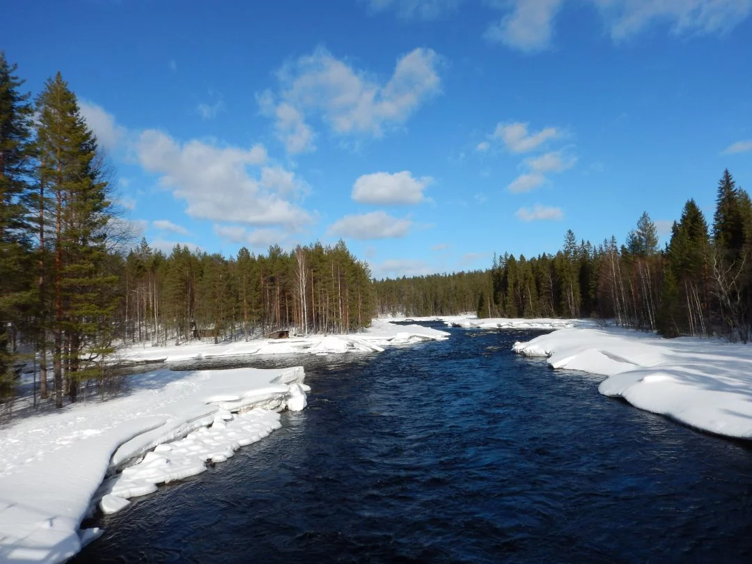 Motorschlitten Tour Finnland