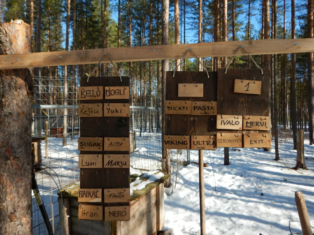 Husky's on duty Eräkeskus Lodge Finnland