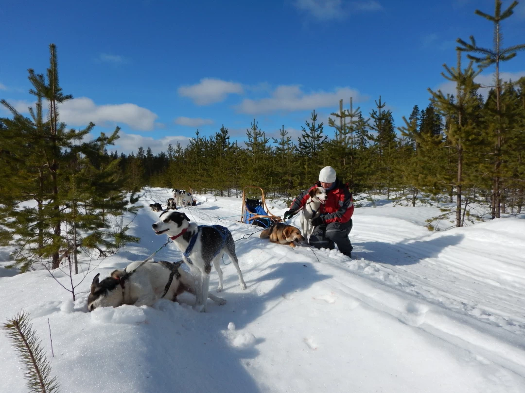 Husky Eräkeskus Lodge Finnland