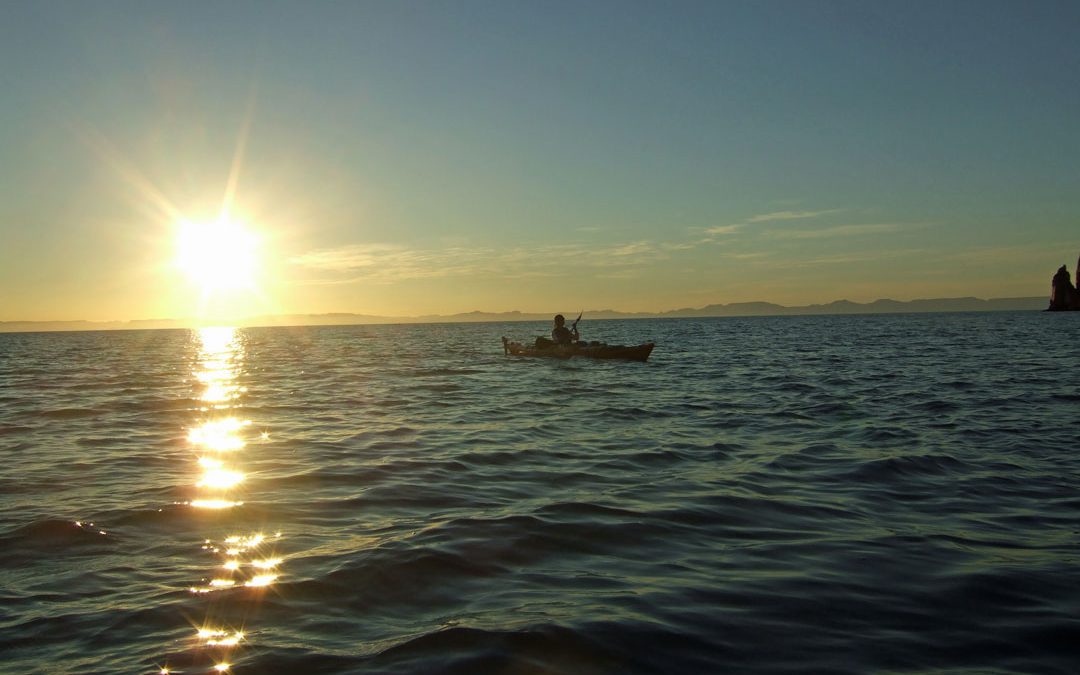 Sea Kayak Isla Espíritu Santo Baja California Sur Mexico