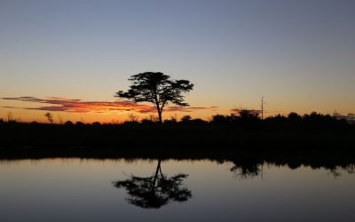 Mashi River Safaris - Tagestour auf dem Kwando River mit Übernachtung