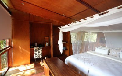 River Dance Lodge — Luxus am Okavango River