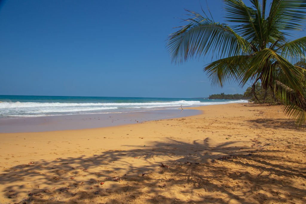 Bluff Beach Bocas del Toro Panama