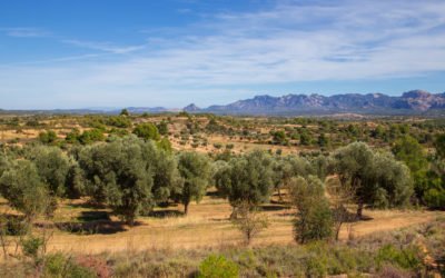 Zeitlose Momente in der Matarrana