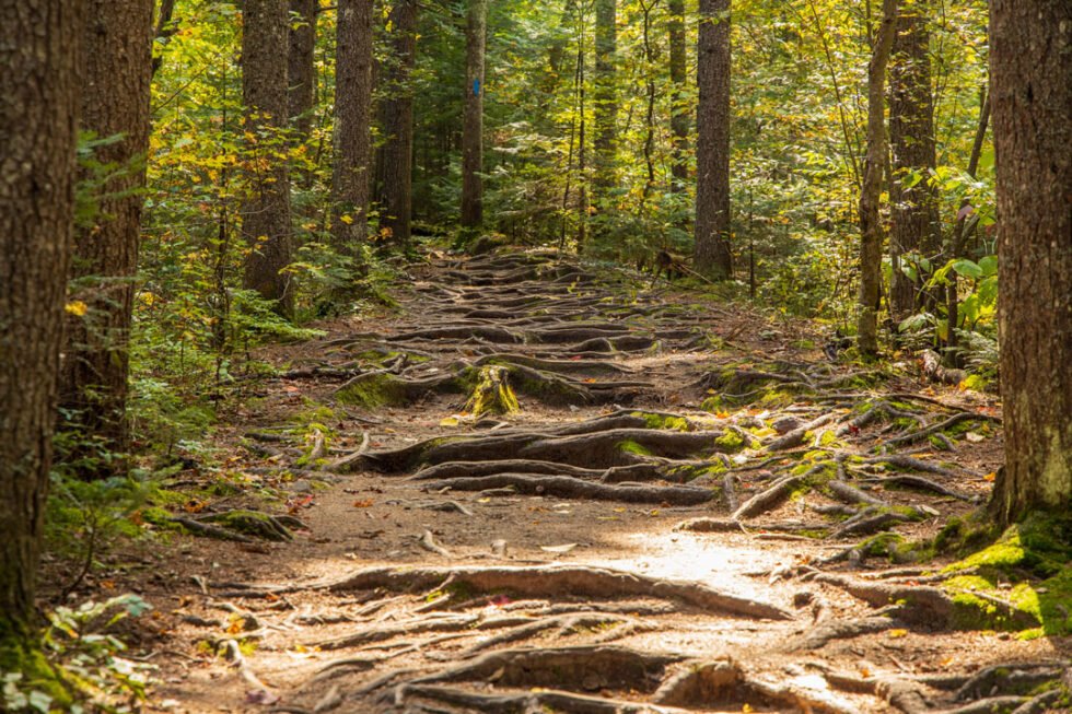 Indian Summer White Mountains Wandergenuss mit tollen Aussichten