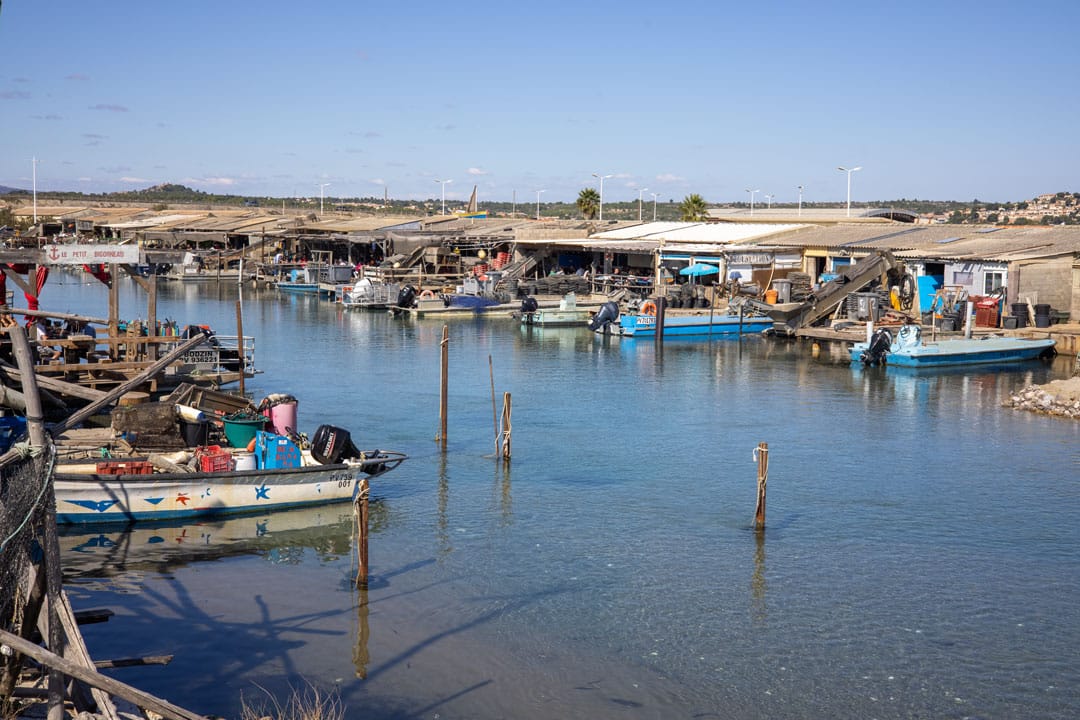 Leucat-Chez-Face-d’Huitre Blick auf den Kanal wo die Fischer ihre Produkte anbieten