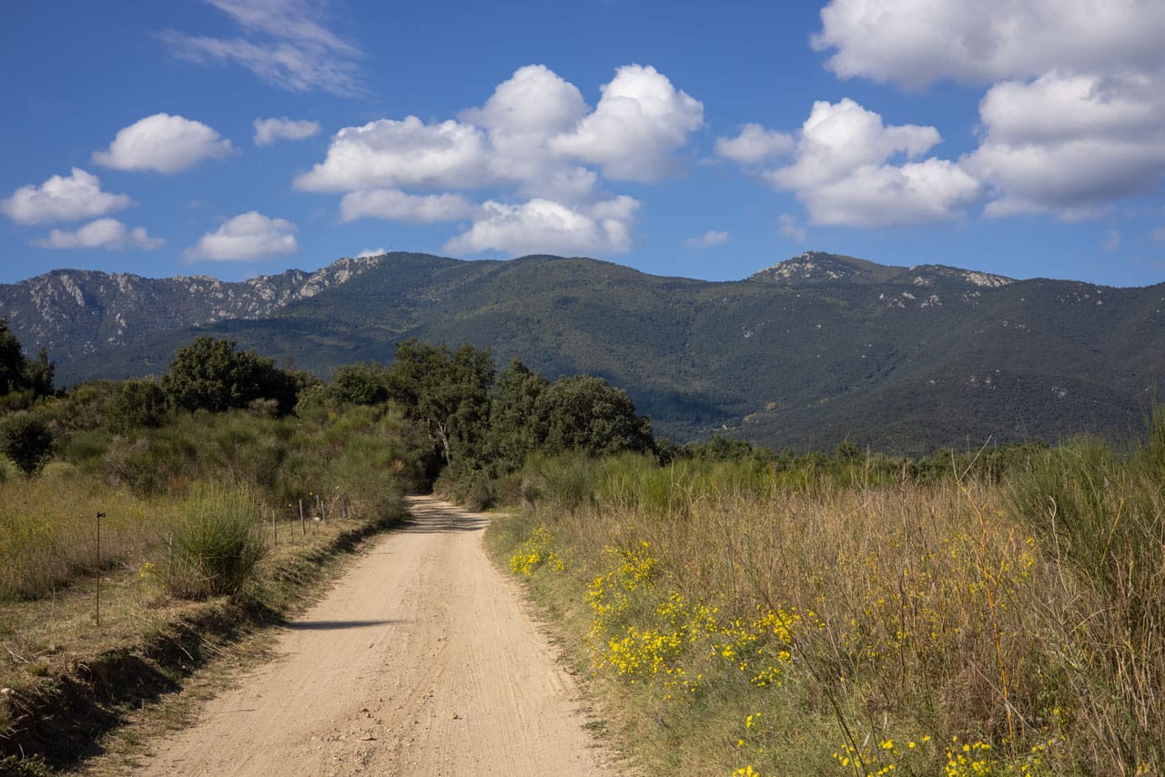 Region Alt Emporda Macanet Sicht auf die bergige Region Alt Emporda