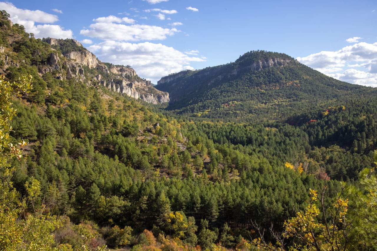 Serrania de Cuenca Herbstliche Wald- und Felslandschaft in der Serranía de Cuenca, kurz nach Albarracín