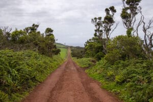 Sao Jorge, schnurgerade Gravelroad zum Leuchtturm auf Ponta dos Rosais