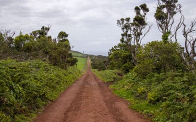 São Jorge Azoren: zwischen Fajãs, Wind und Atlantik